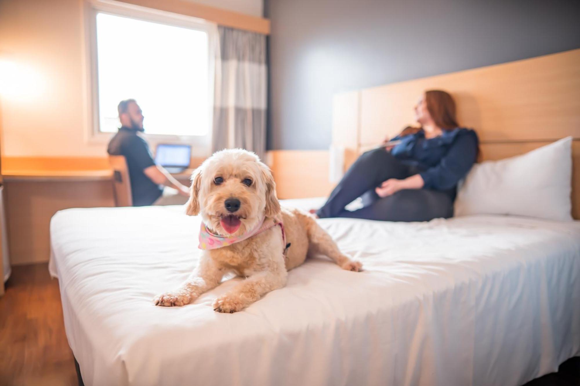 Ibis Itu Plaza Shopping Hotel Eksteriør billede